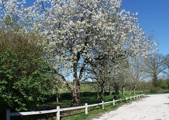 בית נופש De La Bruniere La Pommeraie-sur-Sèvre